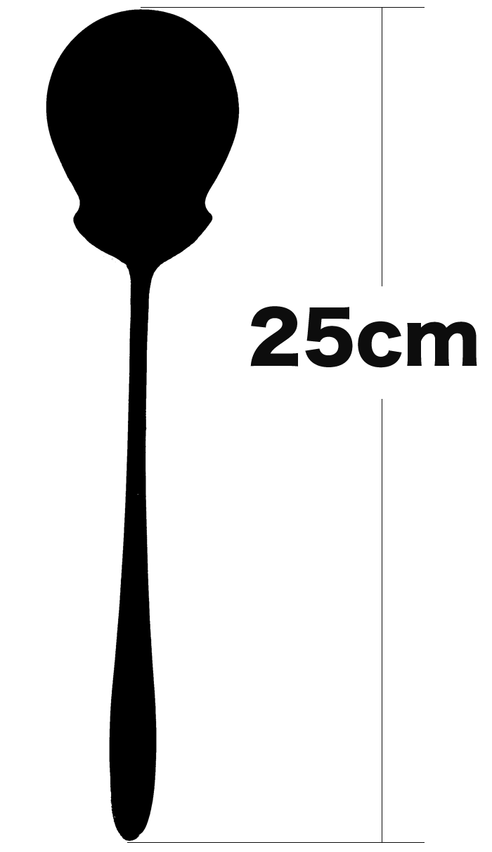 �S��25cm�̑�^�X�v�[��
