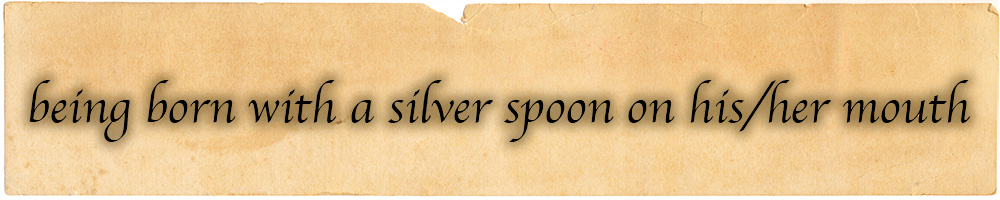 being born with a silver spoon on his/her mouth.