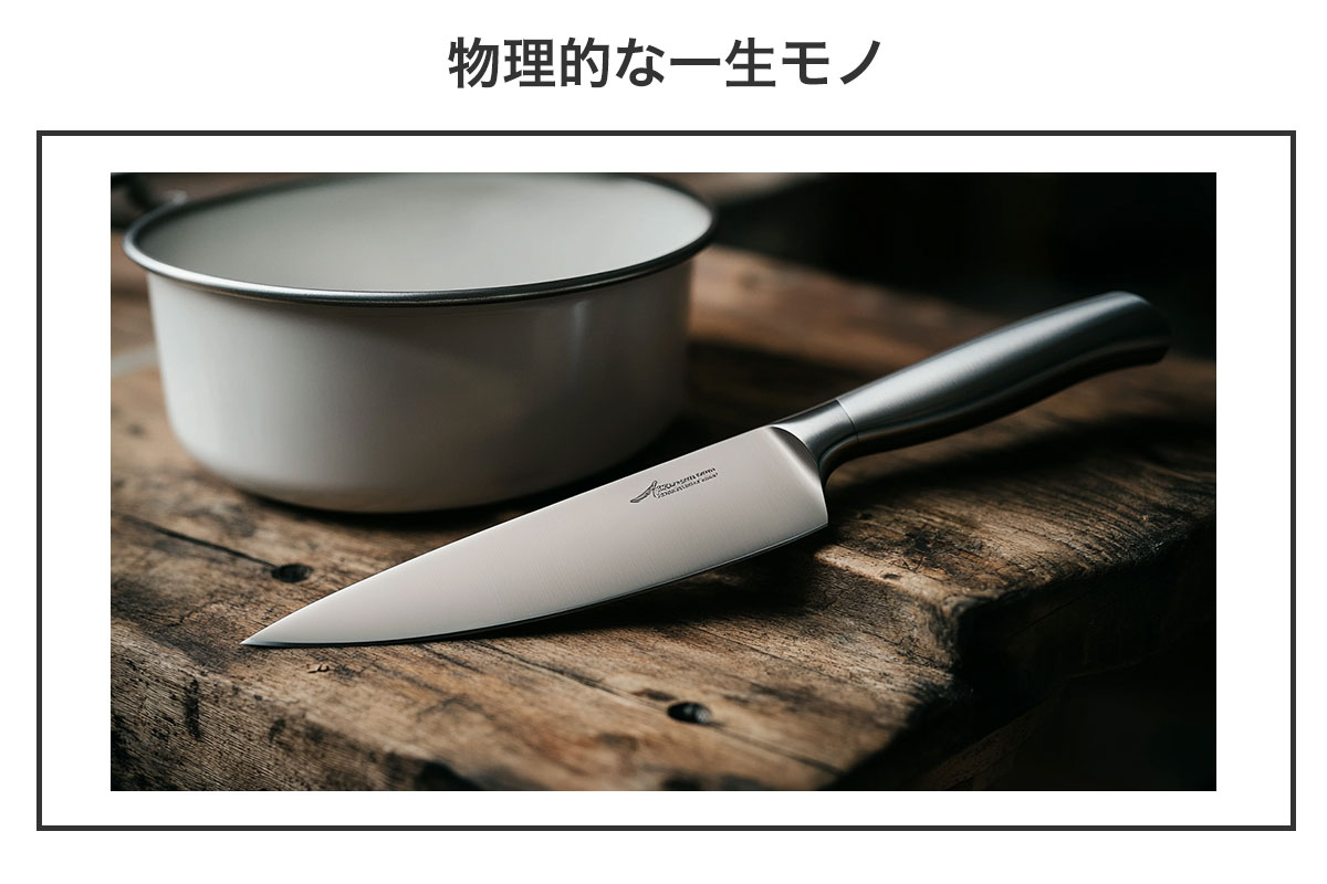 物理的な一生モノの例